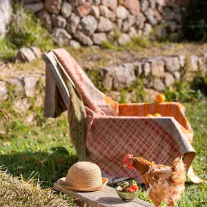  Country house Son Viscos